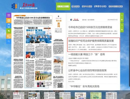黑龍江日報 加強知識產權司法保護 服務保障高質量發(fā)展